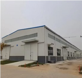 About Company